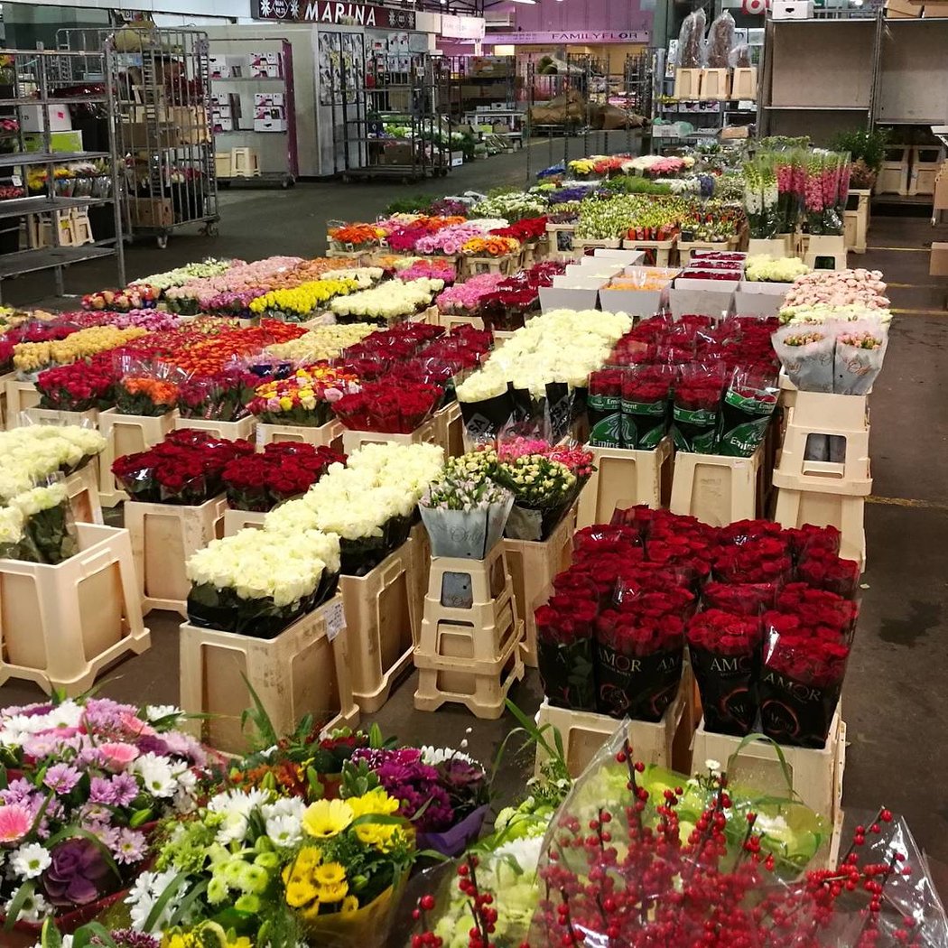 Rungis Market - Home Tide 3